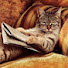 BY9eNRRx2aE-channel-avatar-Kitapların Kedisi