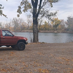 Strive to survive net worth