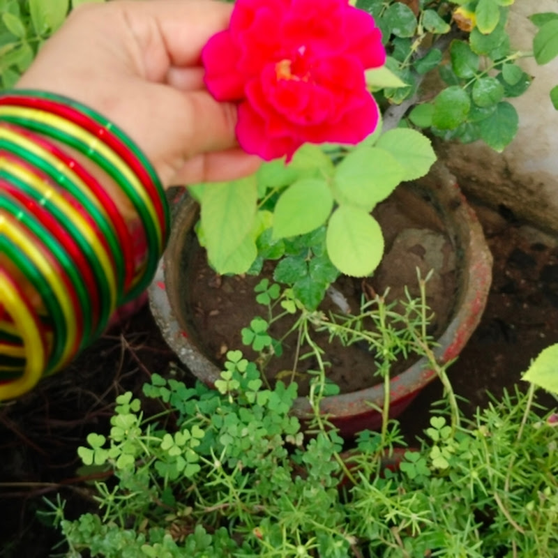 Hire HDP1700 — Spirituality & Belief YouTube creator for brand sponsorships