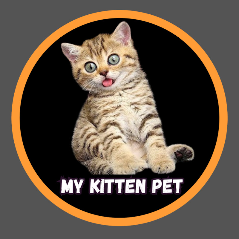 My Kitten Pet