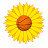 Sunflower Sports Network