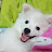 @조조-o5t