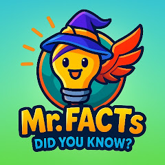 Mr_Facts
