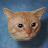 @THE956DEVIL's avatar