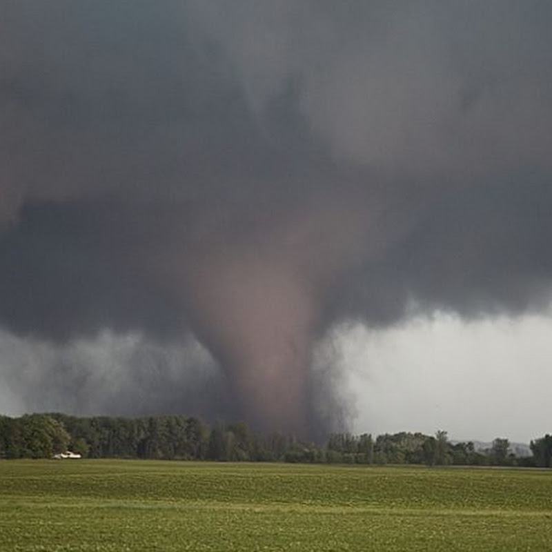 Tornadoman1113