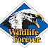 6rF-STc3-Js-channel-avatar-WILDLIFEFOREVER