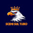 xf_Kv1uCXSI-channel-avatar-Scemi Sul Tubo
