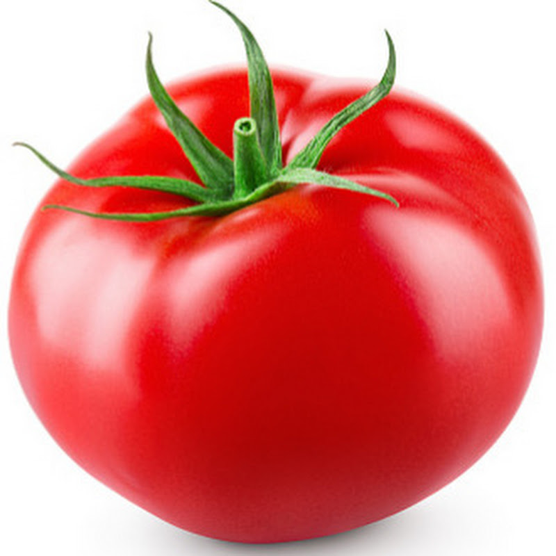 TOMATO - ABC LEARNING