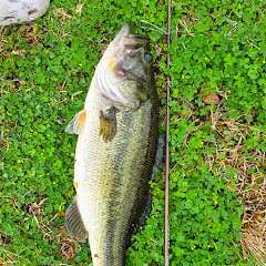 Mav’s fishing