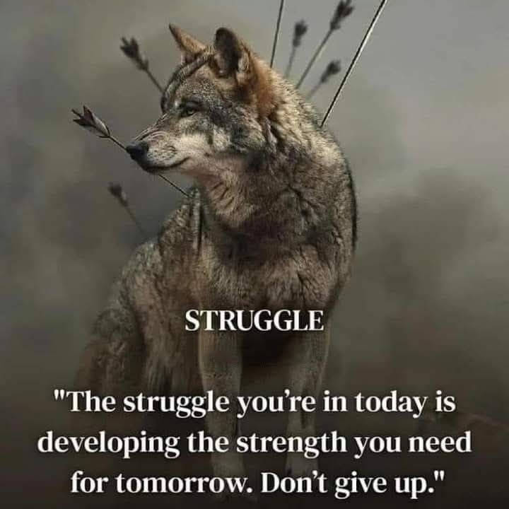 Post from Wolf Mindset