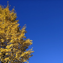 うちのリビングアイコン画像