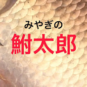 みやぎの鮒太郎