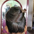 JaCk92JMgNw-channel-avatar-West Bengal hair Play 