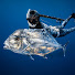 kshbKGptQ3k-channel-avatar-Key West Waterman