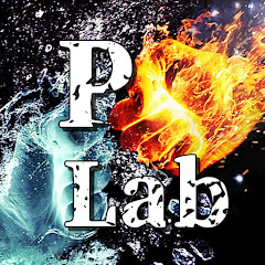 Pラボ -Punch Lab- ～プロ格闘家が格闘技を解説するチャンネル～