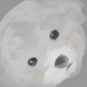 こむぎわ