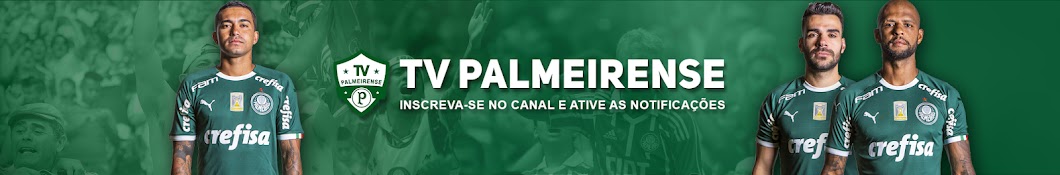 Tv Palmeirense رمز قناة اليوتيوب