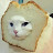 @Toasted-Cat