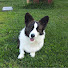 WpZ96IphxeM-channel-avatar-Sunny.K9