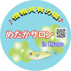 めだかサロンアイコン画像