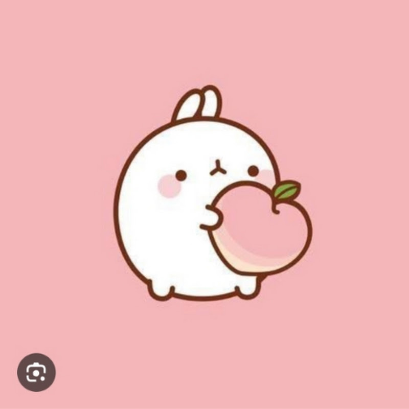 𝐂𝐨𝐳𝐲 𝐂𝐨𝐫𝐧𝐞𝐫🎀