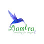 Liamtra - Something For Everyone logo