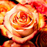 XEVG_2qSEYo-channel-avatar-Sonidos Romanticos Inmortales