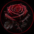 3E3KRE9Wh_Q-channel-avatar-Venganza Escarlata