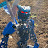 @BionicBlueKnight
