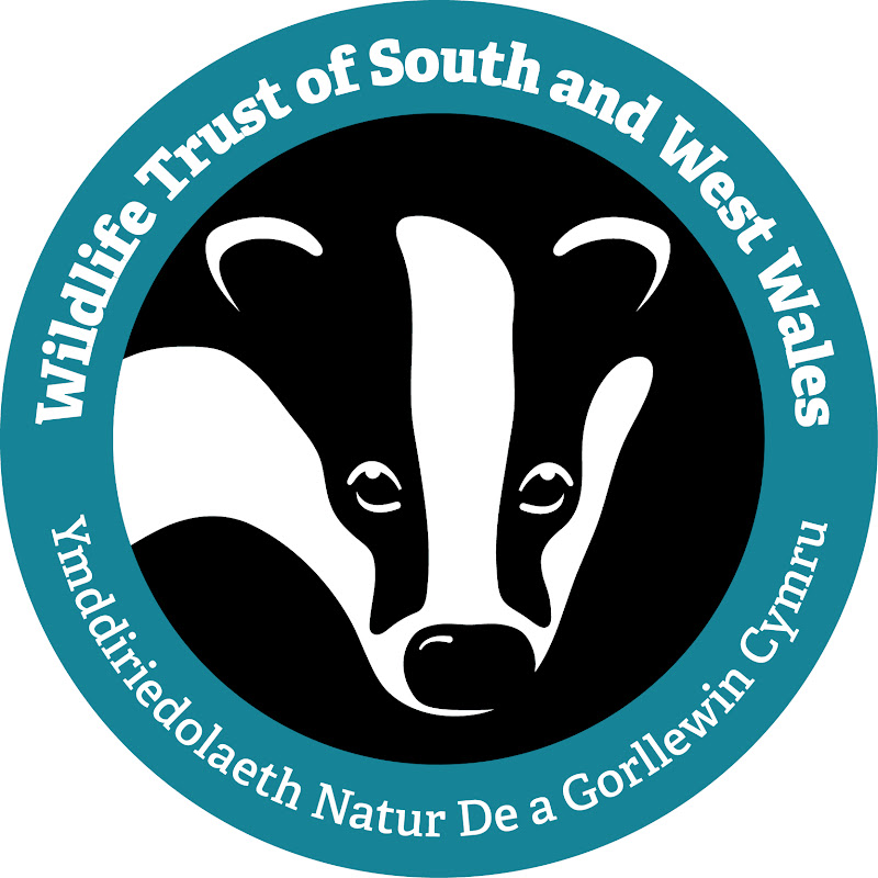 The Wildlife Trust of South and West Wales logo