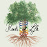 zXWbr8fmVAY-channel-avatar-RootsofLife