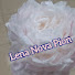l60qEnUe6f4-channel-avatar-Lena Nova Pion