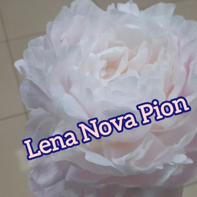 Lena Nova Pion Logo