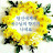 @모란꽃-p8u