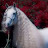 @نديشريف-ه2ض