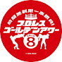 時間無制限一本勝負! プロレス・ゴールデンアワー