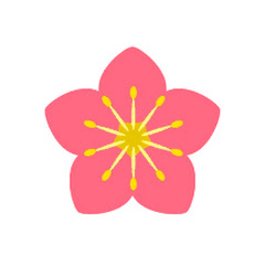 Sorami illu