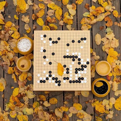 바둑쉽게배우기