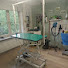 Wdka-gbORXg-channel-avatar-Hundefriseur Siegen - Gosenbach