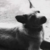 carl lin 林-忘れられる帝國南方島嶼