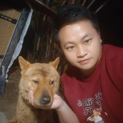 Scar Huang Dog Diary