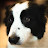 @frans688's avatar