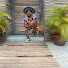 ThPR56S44ZU-channel-avatar-NoonieBeGreat