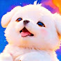  cottonpupai