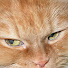 8tmwjC_VbeA-channel-avatar-Michel Prouss