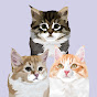 Anya & Uni & Katsu Siberians Avatar