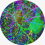 Cellular Imaging logo