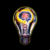 Daily Learning Facts