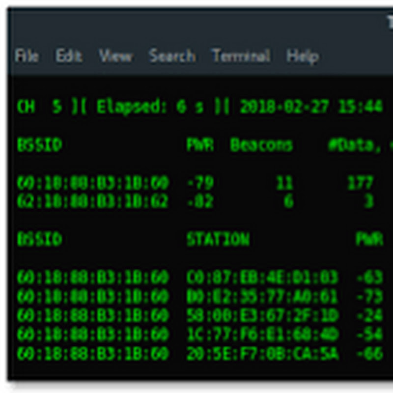 Ethical Hacking