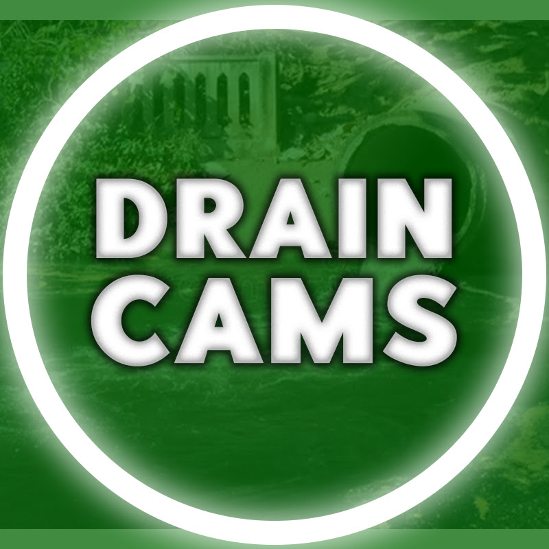 Lambo Damaged By Shipping Company 🤕